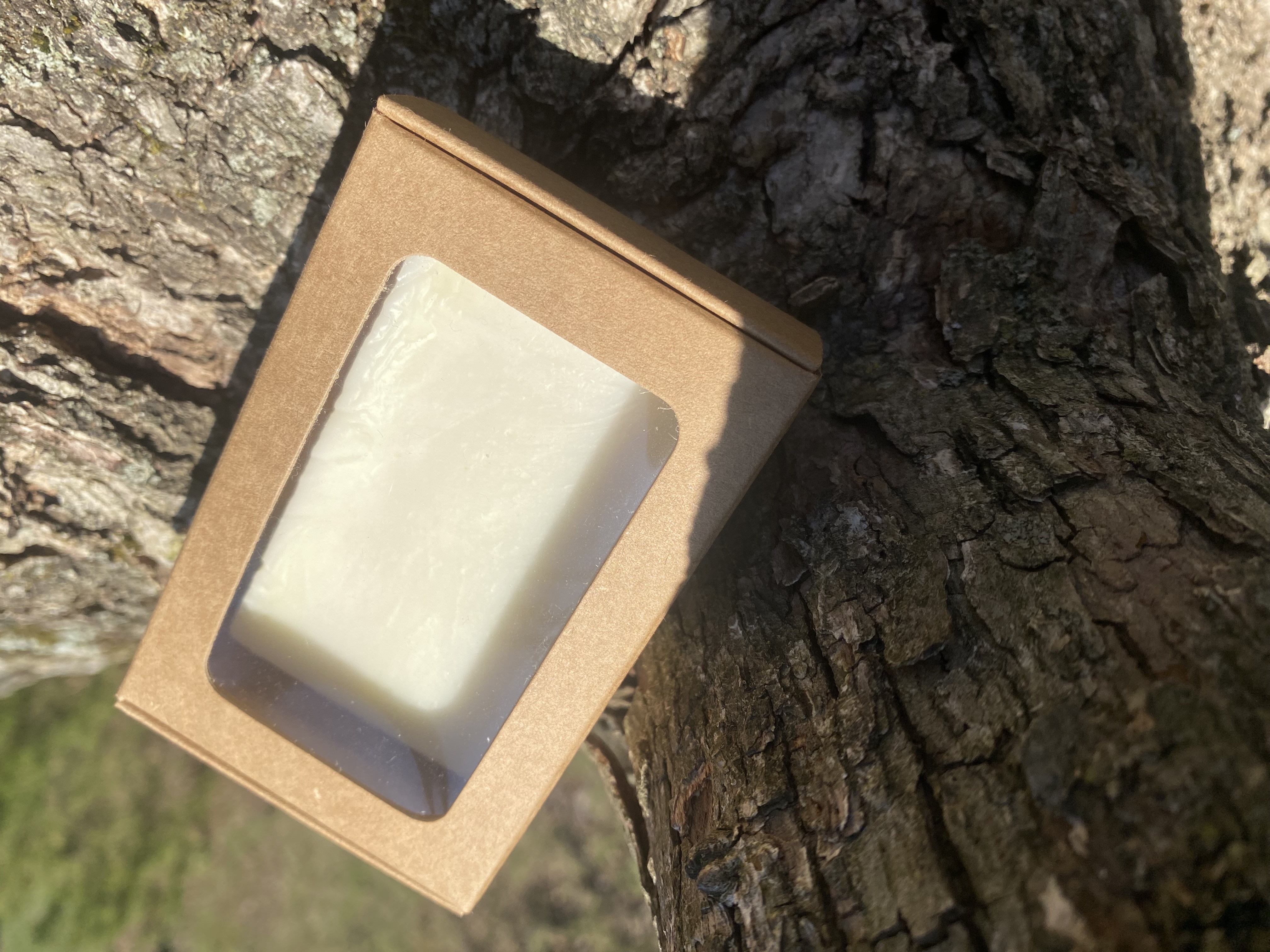 SoIL Soap Bar 2